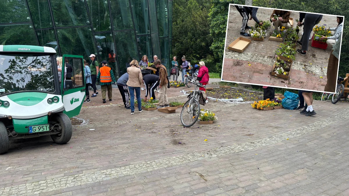 Zbrataj się z bratkiem w Gdańsku. Mieszkańcy tłumnie ruszyli do parków po darmowe kwiaty