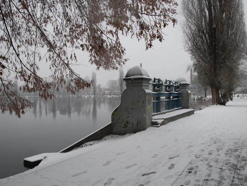 Śnieżna galeria ze Zgierza i Sokolnik-Lasu