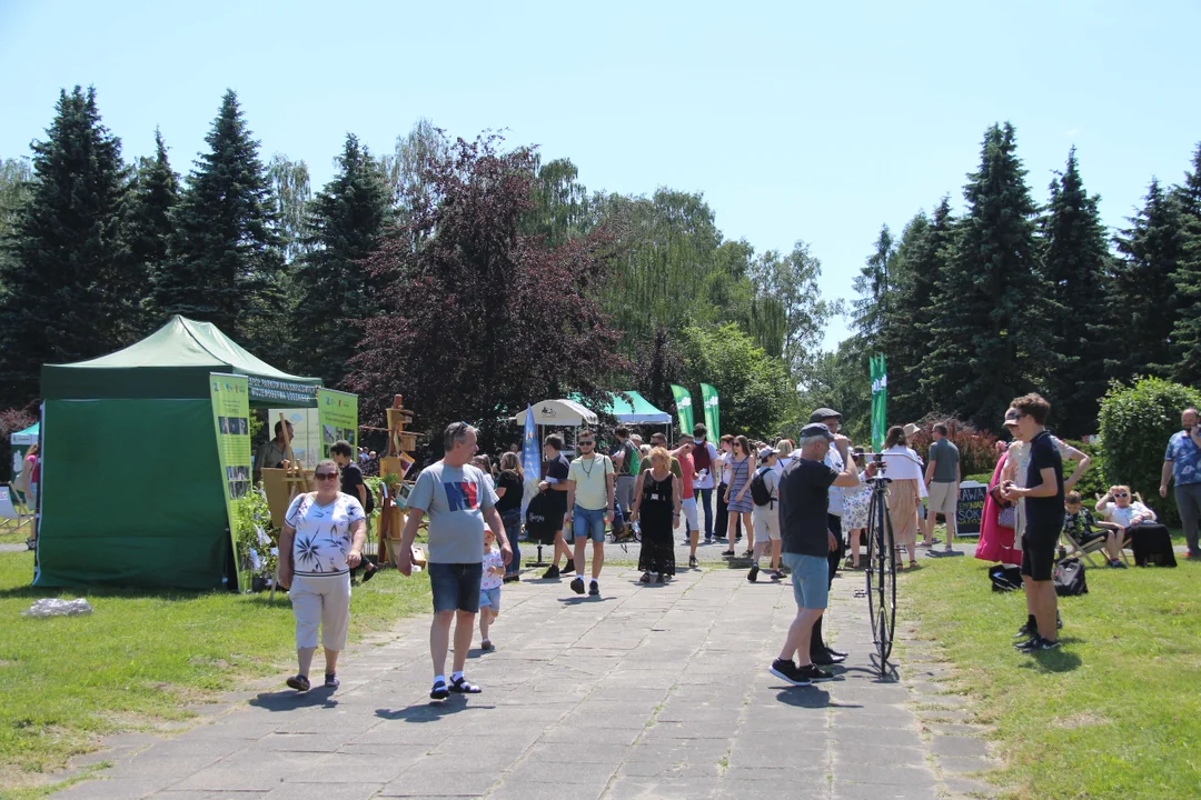 "Majówka w ogrodzie" - Ogród Botaniczny w Łodzi zaprasza na piknik rodzinny