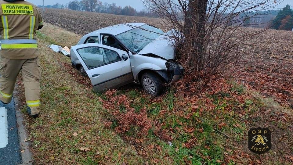 Wypadek w Radotkach. Samochód wbił się w drzewo [ZDJĘCIA] - Zdjęcie główne