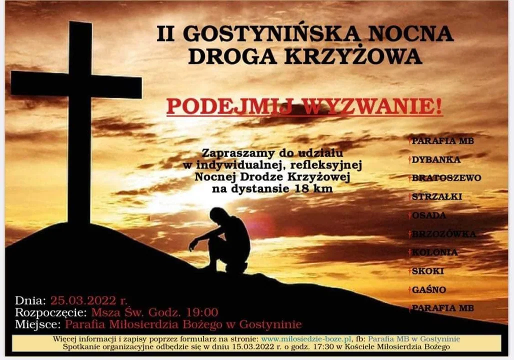 Nocna droga krzyżowa w Gostyninie. W intencji pokoju na Ukrainie - Zdjęcie główne