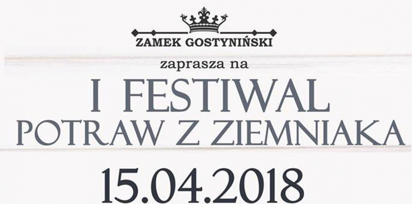 Festiwal, jakiego jeszcze w Gostyninie nie było - Zdjęcie główne