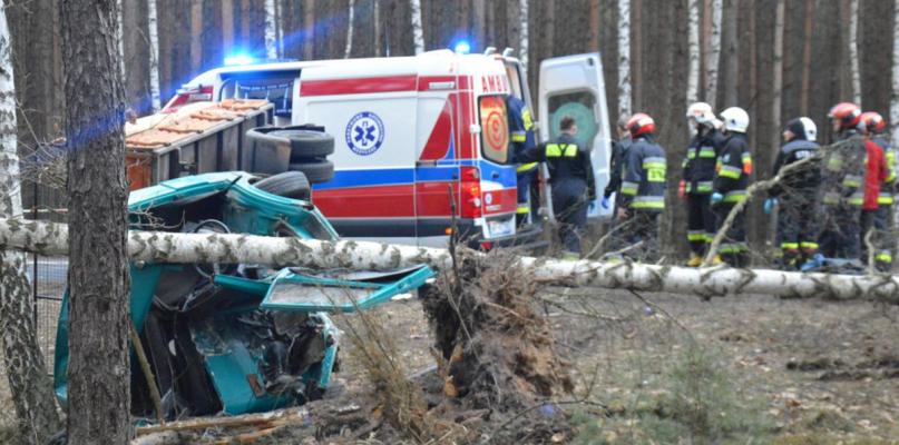 [ZDJĘCIA] Śmierć na drodze. Auto roztrzaskało się na drzewie [AKTUALIZACJA] - Zdjęcie główne