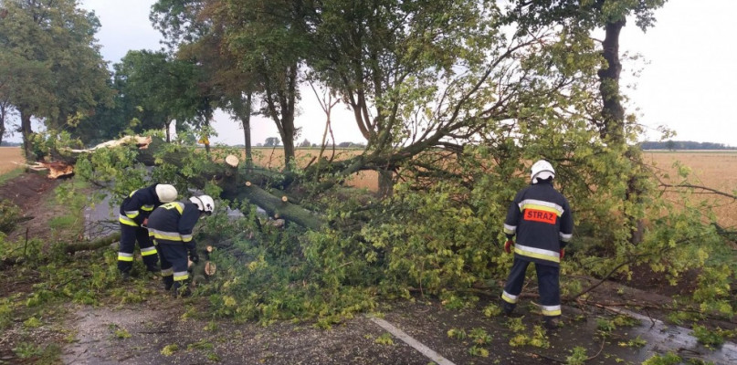 Bilans nawałnicy: strażacy interweniowali prawie 60 razy - Zdjęcie główne