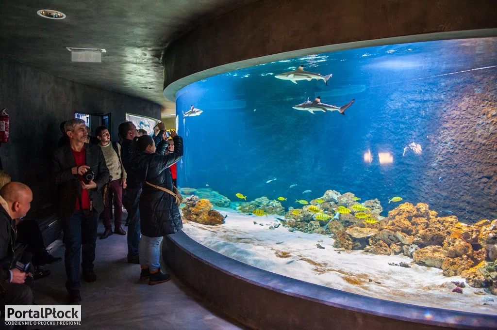 Śmiałe wizje na rozwój płockiego ZOO. Ogród chce wydać kilkadziesiąt milionów złotych - Zdjęcie główne