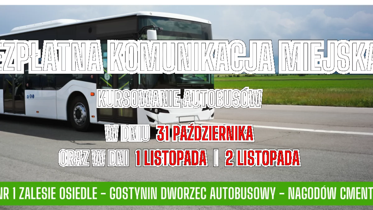 Bezpłatne autobusy w Gostyninie. Znamy szczegóły! [ROZKŁADY] - Zdjęcie główne