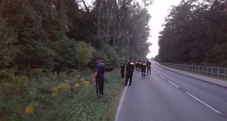 Zobacz jak wyglądały poszukiwania 75-letniej staruszki - Zdjęcie główne