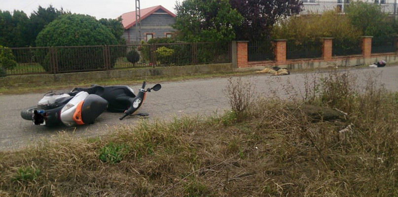 Pies wbiegł pod koła skutera. Motocyklista w szpitalu - Zdjęcie główne