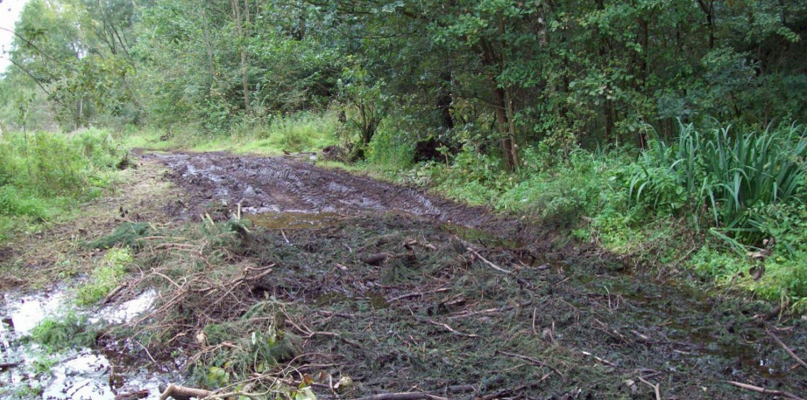 Ul. Kraśnica zapomniana przez urzędników? Remontu w tym roku nie będzie - Zdjęcie główne