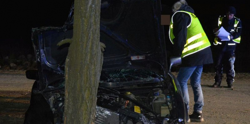 Auto roztrzaskało się na drzewie. Kierowca był kompletnie pijany - Zdjęcie główne