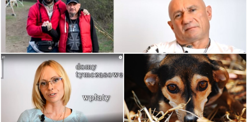 "Różal" i "Kaczor" wspierają Animal G(h)ost. Każdy grosz na wagę złota! [WIDEO] - Zdjęcie główne