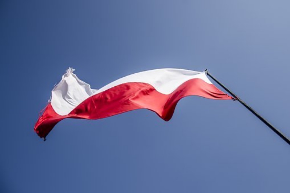 Patriotyczne uroczystości w Gostyninie - Zdjęcie główne