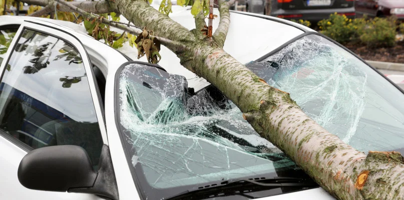 Uwaga na silny wiatr! Jest ostrzeżenie meteorologiczne - Zdjęcie główne