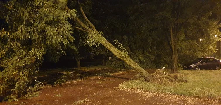 Nad Mazowszem przejdzie wichura. Meteorolodzy ostrzegają  - Zdjęcie główne