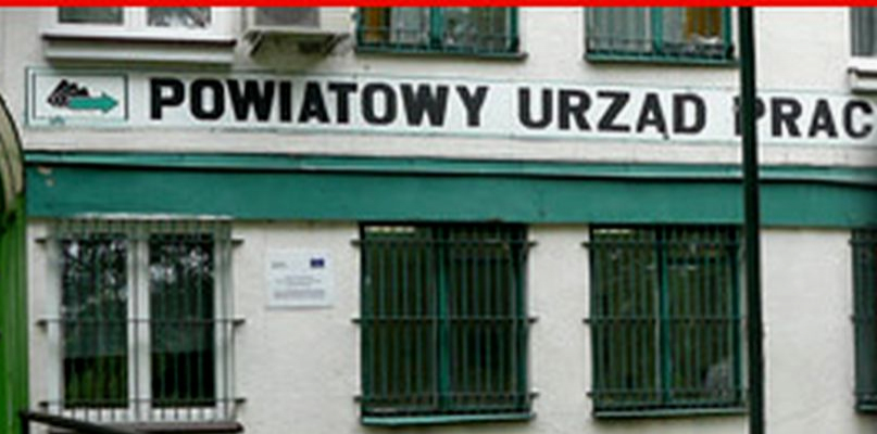 Pracownicy spoza UE poszukiwani przez rolników z powiatu gostynińskiego - Zdjęcie główne