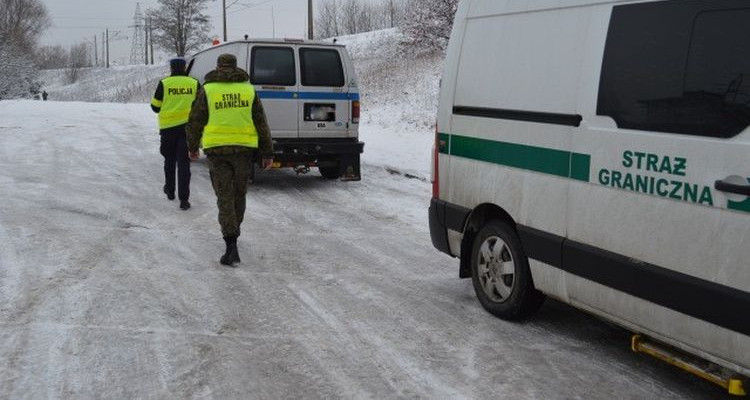 Wspólne działania policji i straży granicznej. Nielegalni obcokrajowcy w Gostyninie? - Zdjęcie główne