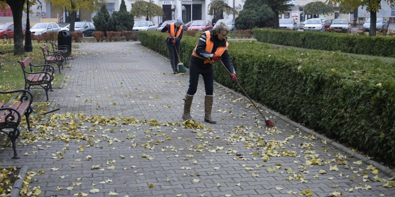 Jesienne sprzątanie Gostynina - Zdjęcie główne