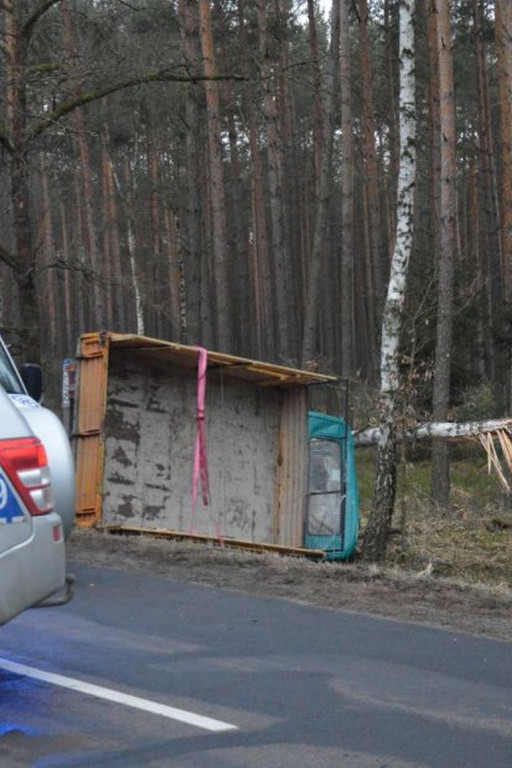 Śmierć na drodze. Auto roztrzaskało się na drzewie - Zdjęcie główne