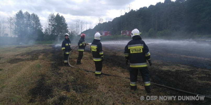 Płonęły łąki. Dym było widać z kilku kilometrów - Zdjęcie główne