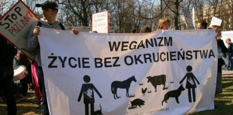 Weganie będą protestować pod ubojnią - Zdjęcie główne