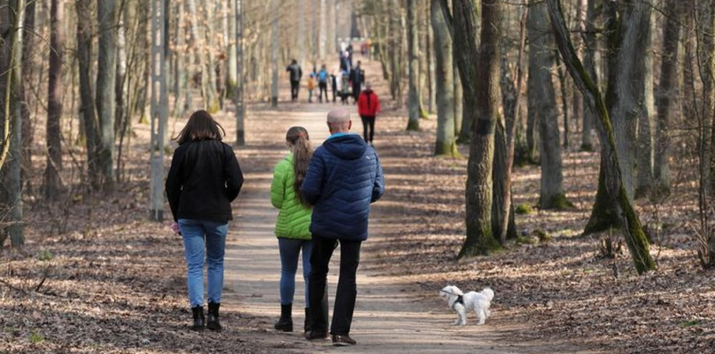 Do lasu nawet bez maski. Jakie jeszcze zmiany wchodzą od dzisiaj? - Zdjęcie główne