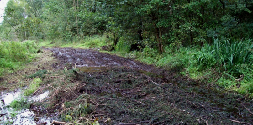 Ulica Kraśnica będzie utwardzona. Później wyremontowana - Zdjęcie główne