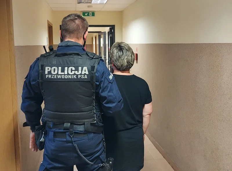 Włamali się do mieszkania niepełnosprawnej kobiety, zaatakowali ją i okradli. Troje kutnian jest już w rękach policji 