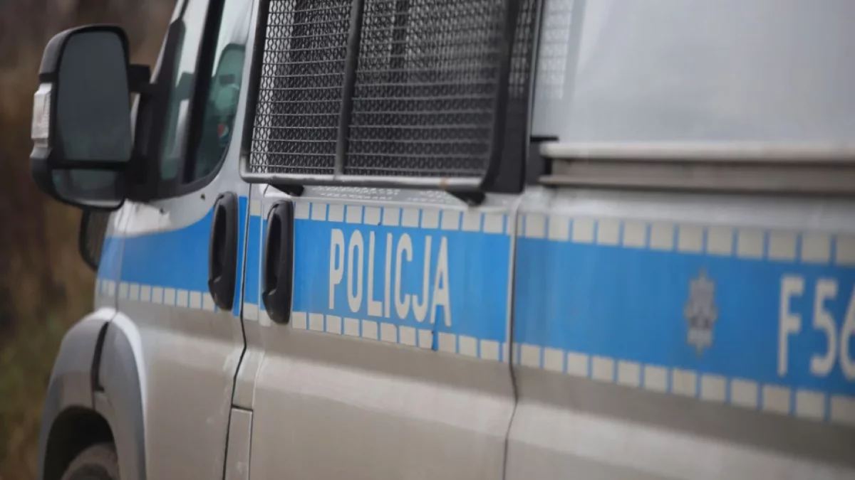 Narkotyki w aucie i mieszkaniu. 32-latek z Kutna trafił do aresztu
