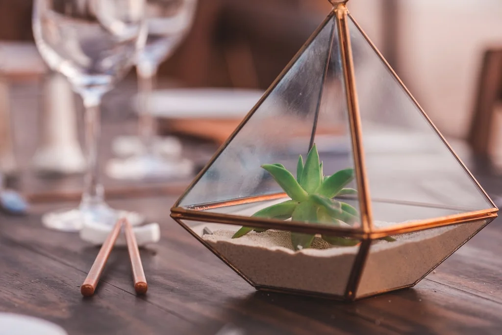 Terrarium dla żółwia - na co zwrócić uwagę? - Zdjęcie główne