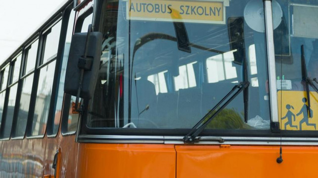 Jutro początek roku szkolnego. Sprawdź rozkład jazdy autobusów szkolnych w gminie Krośniewice - Zdjęcie główne