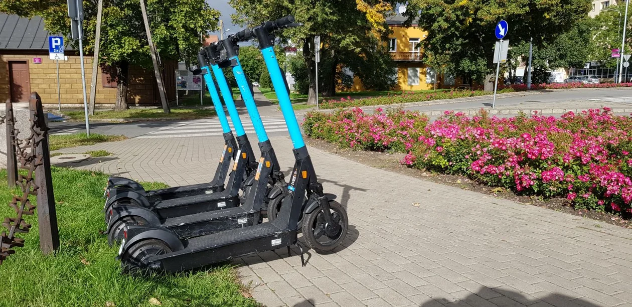 Lądują w krzakach i tarasują chodniki. Jak Kutno zamierza sobie poradzić z hulajnogami elektrycznymi? - Zdjęcie główne