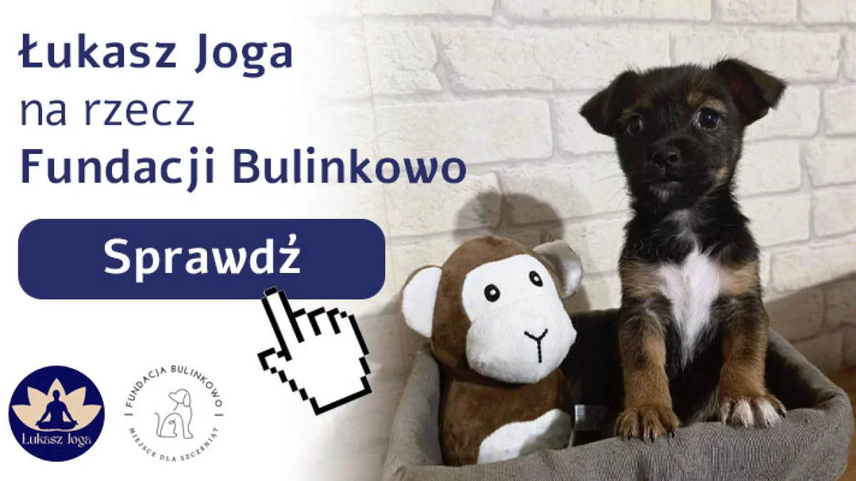 Joga dla Fundacji Bulinkowo