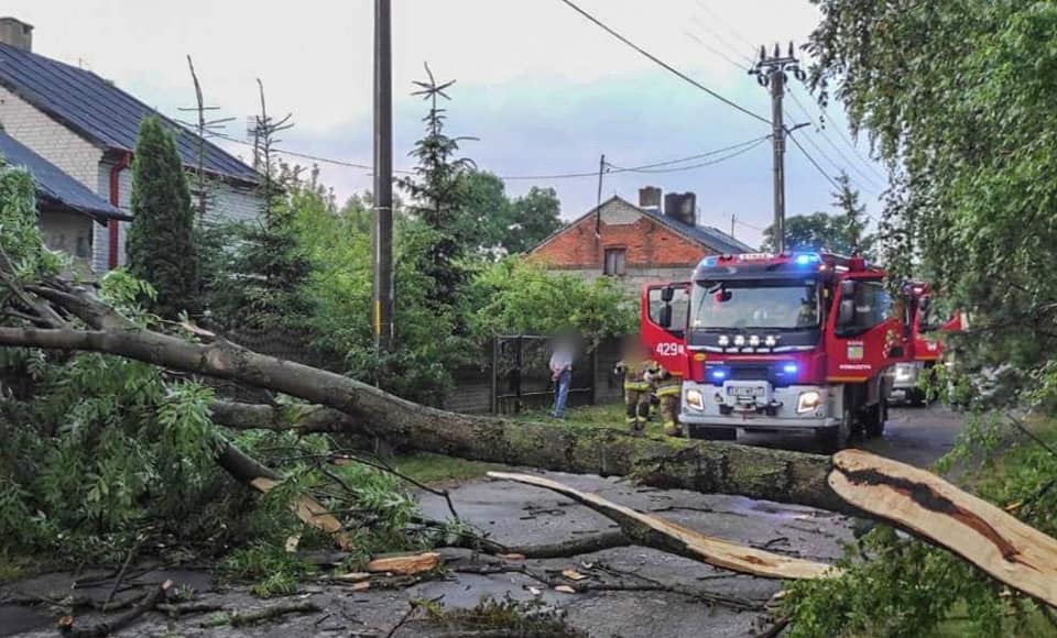 Gmina Dąbrowice zorganizuje pomoc dla mieszkańców