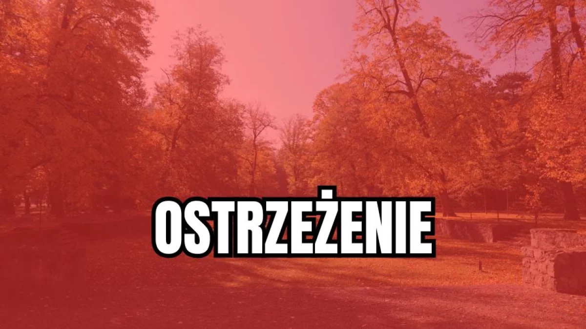 Niepokojące prognozy dla województwa łódzkiego. "To nie wróży nic dobrego" - Zdjęcie główne