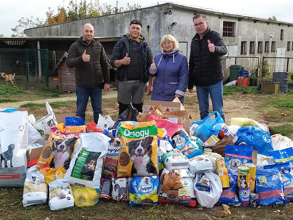 Kutnowscy radni zbierali karmę i koce dla bezpańskich zwierząt