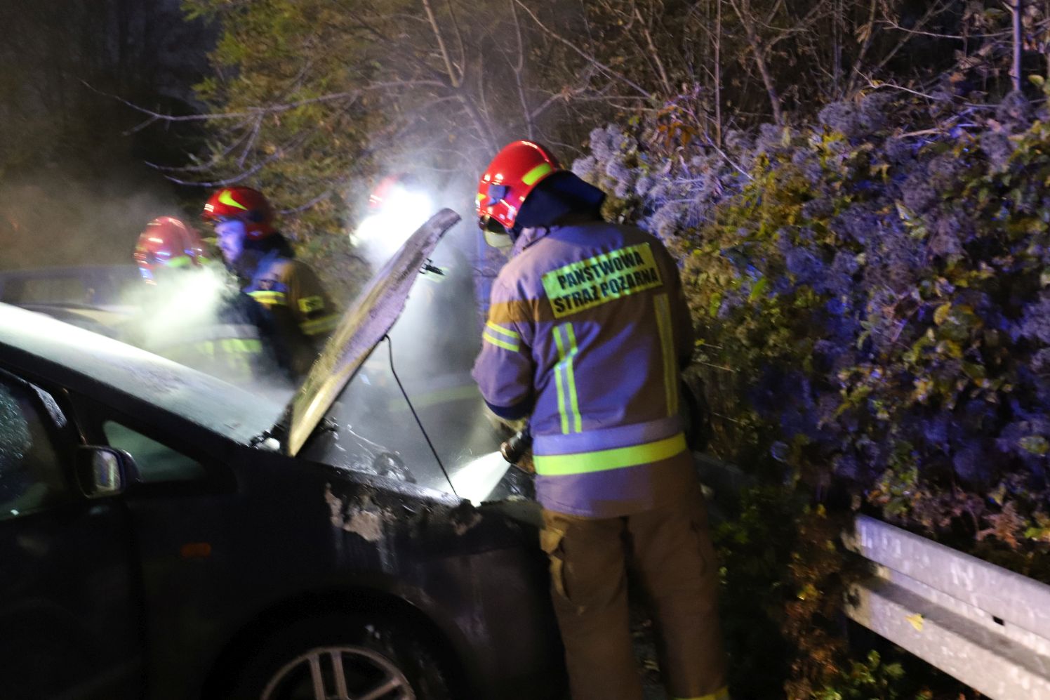 Straż pożarna prowadziła działania w związku z pożarem na parkingu jednej z kutnowskich Biedronek