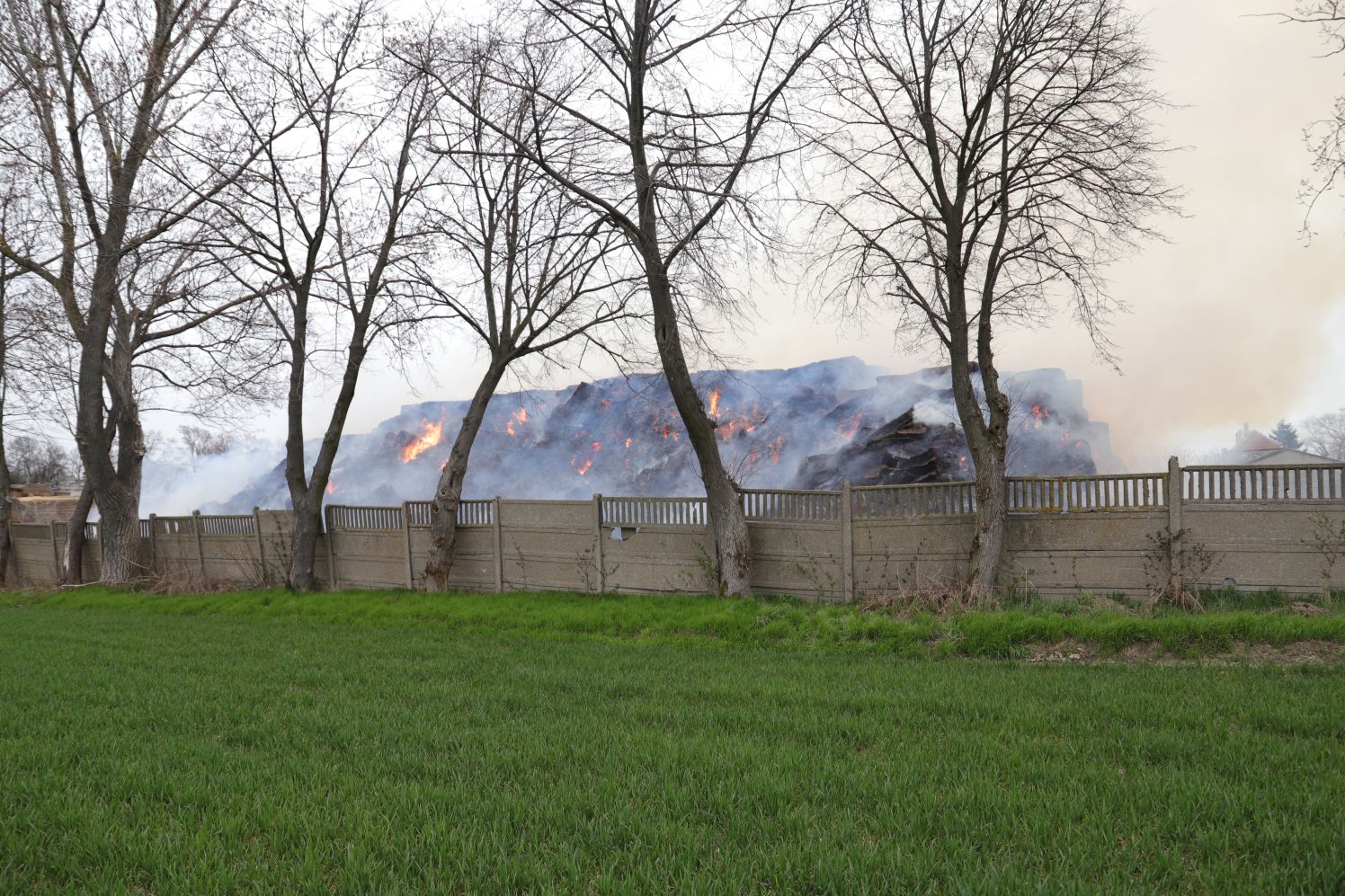 Przyczyną pożaru w powiecie kutnowskim było prawdopodobnie podpalenie