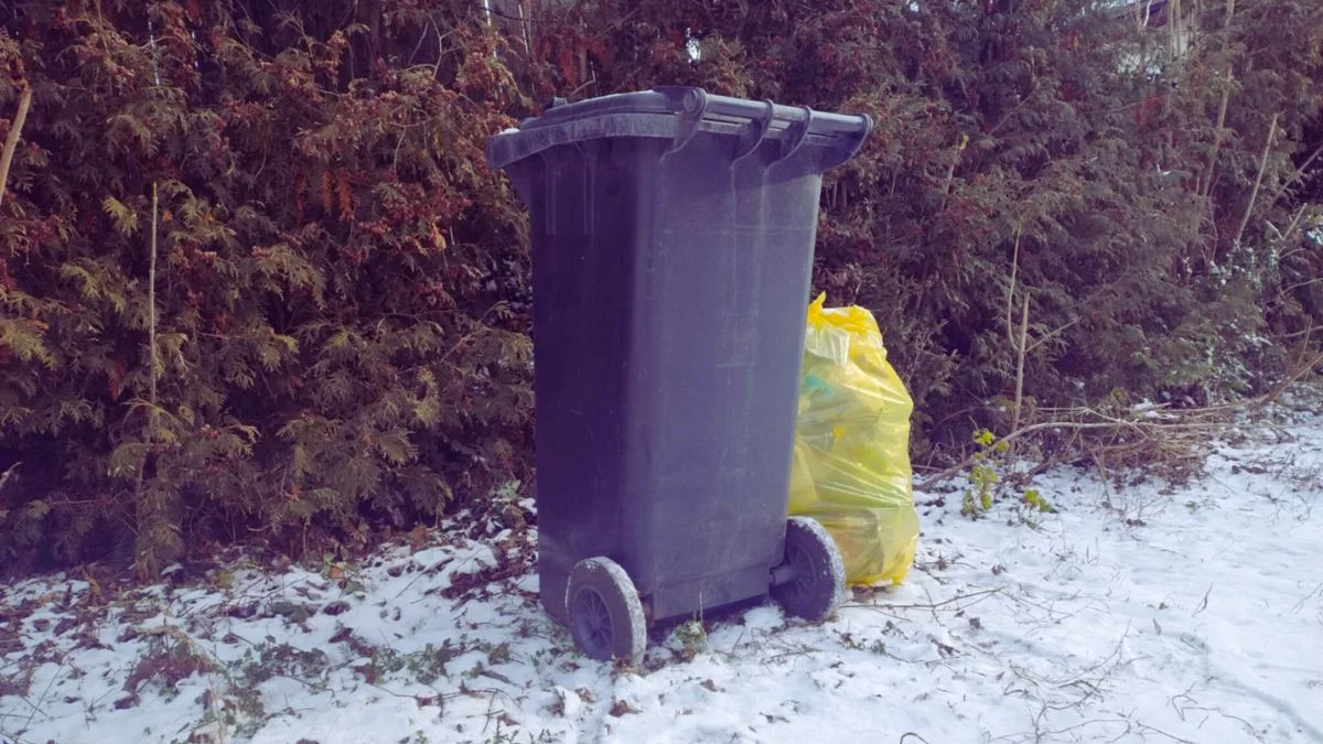 Przestają odbierać śmieci: "Przedstawili kuriozalną cenę". Co z odpadami w mieście i gminie? - Zdjęcie główne