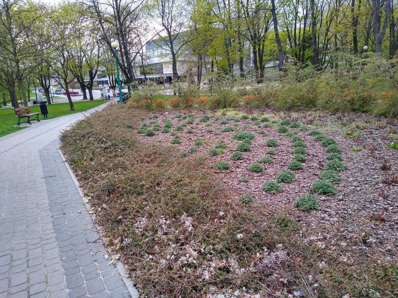 Wiosna powoli daje o sobie znać w kutnowskich parkach i na ulicach naszego miasta