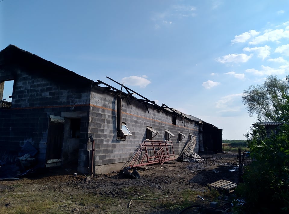 Ogień strawił budynek gospodarczy oraz wszystkie zapasy