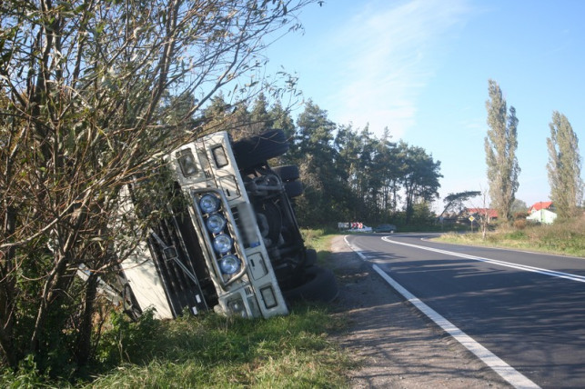 Wypadł z drogi z naczepą pełną węgla - Zdjęcie główne