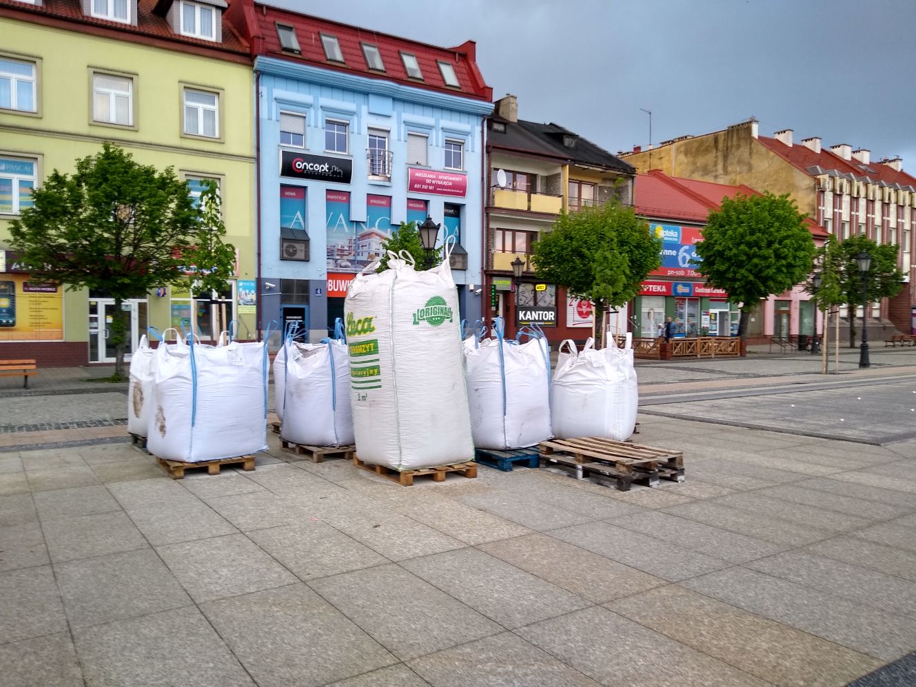 Na placu Wolności w Kutnie pojawią się gazony z zielenią