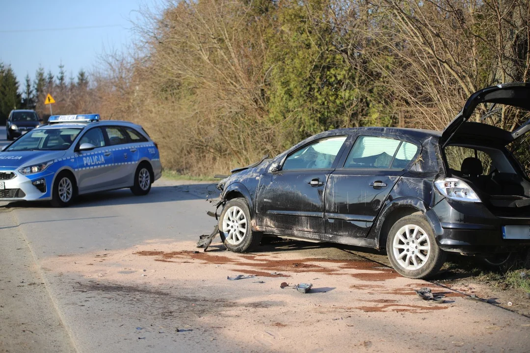 Samochód wypadł z drogi i rozbił się na ogrodzeniu. Kierowca był pijany [ZDJĘCIA] - Zdjęcie główne