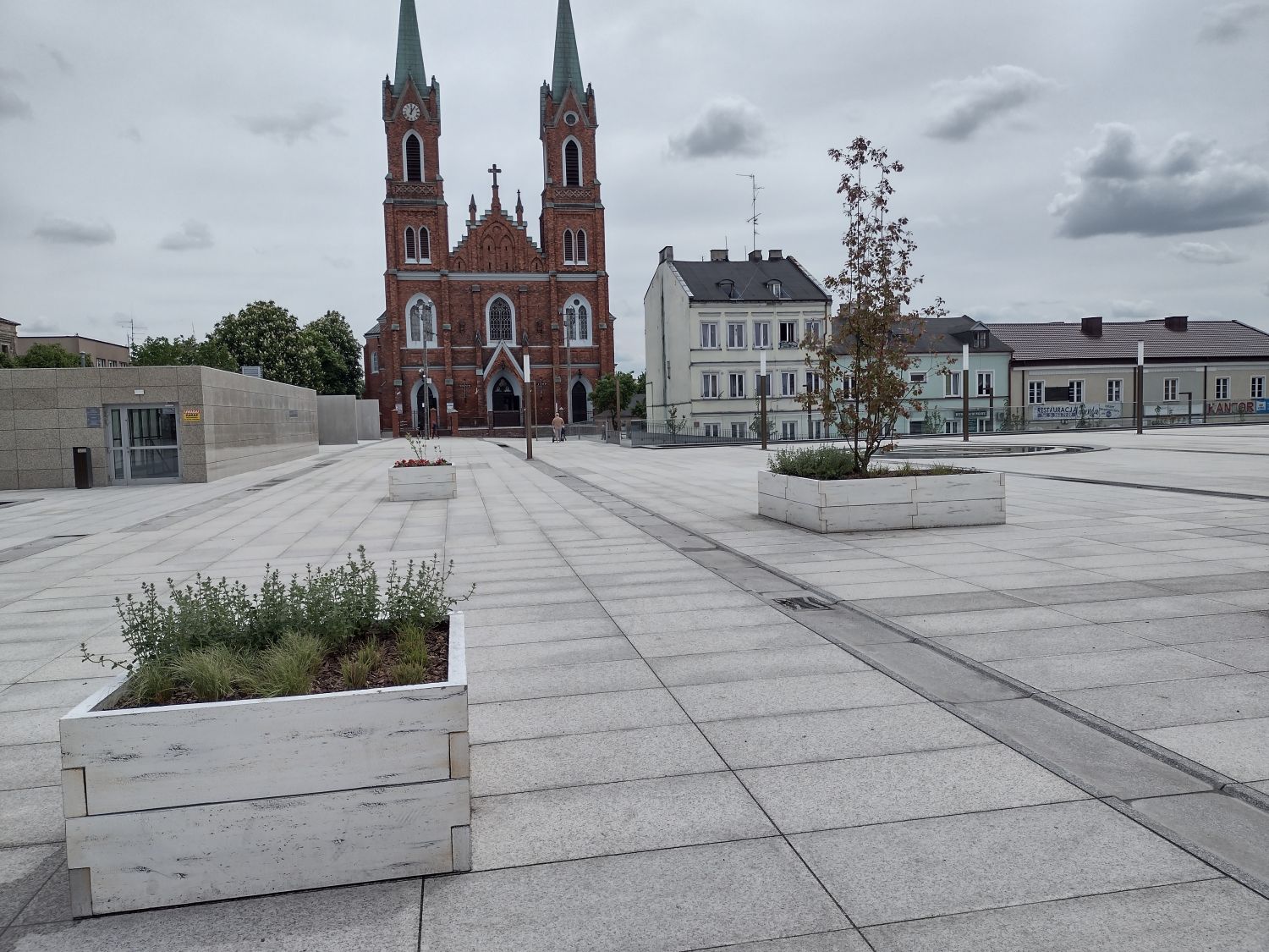 Roślinność na Placu Wolności 