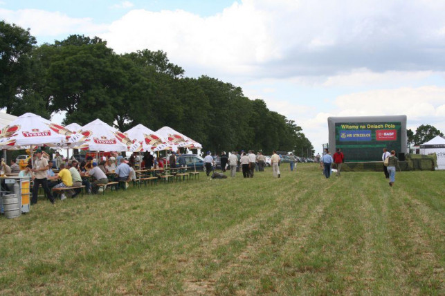 Dni Pola w Strzelcach - Zdjęcie główne