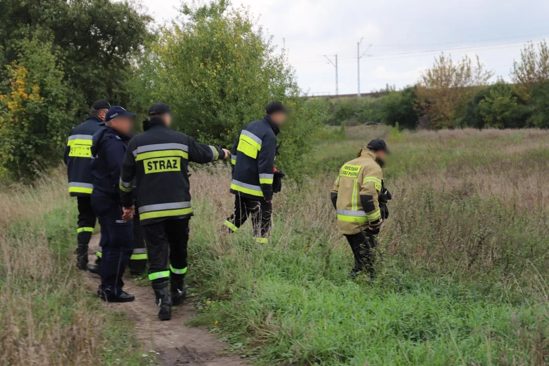 Strażacy wyłowili 30 kilogramów śniętych ryb. Służby pobrały próbki wody do badań - Zdjęcie główne