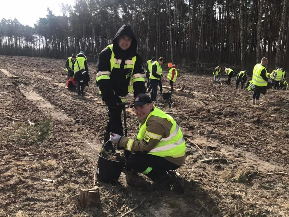 W powiecie kutnowskim trwa akcja ”Sadzimy zielonym do góry”