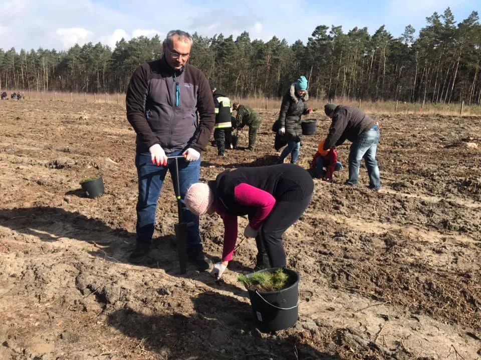 W powiecie kutnowskim trwa akcja ”Sadzimy zielonym do góry”