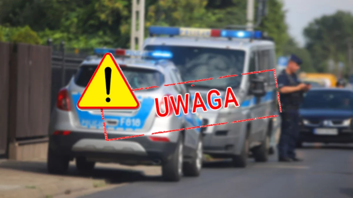 Alarmujące dane: kierowcy nagminnie lekceważą te przepisy. Drogówka nie miała litości