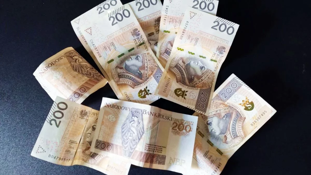 To kosztuje sporo, ale w woj. łódzkim będzie darmowe. Zapadła ważna decyzja